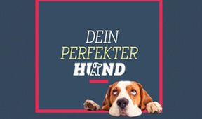 Dein perfekter Hund