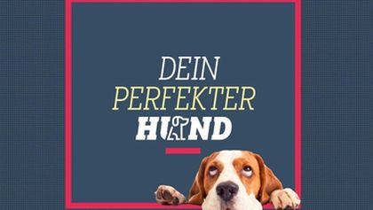 Dein perfekter Hund