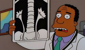 Simpsonovi IX (13/25)