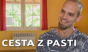 Cesta z pasti