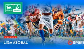 Hádzaná Liga Asobal II