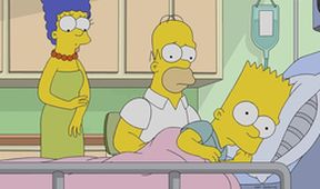 Simpsonovi VI (24/25)