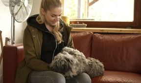 Dein perfekter Hund