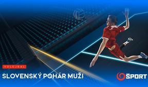 Volejbal Slovenský pohár muži