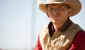Yellowstone II (1/10)