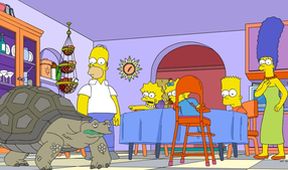 Simpsonovi X (22/23)