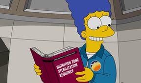 Simpsonovi VI (25/25)