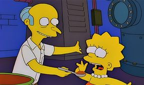 Simpsonovi XVII (21/22)