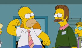 Simpsonovi XX (5/21)