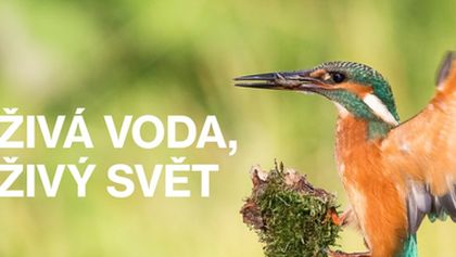Živá voda, živý svět