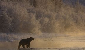 Rok na Planetě (3)