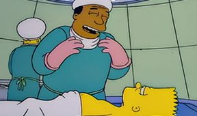 Simpsonovi XV (18/22)