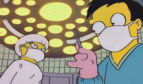 Simpsonovi XII (15/21)