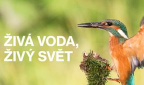Živá voda, živý svět