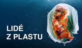 Lidé z plastu, Dokumentární klub