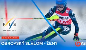 FIS Svetový pohár obrovský slalom ženy V