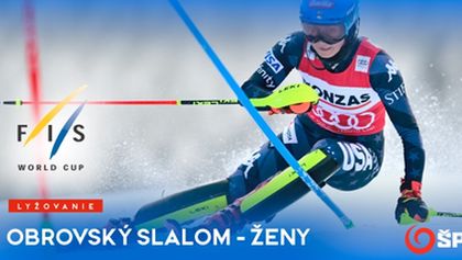FIS Svetový pohár obrovský slalom ženy V