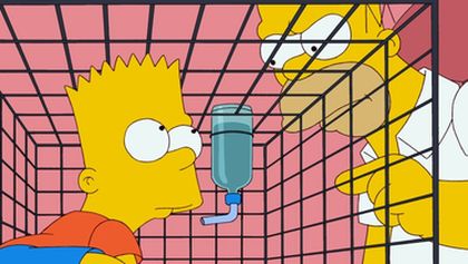 Simpsonovi XII (3/21)