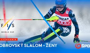 FIS Svetový pohár obrovský slalom ženy IV