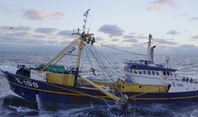 Honba za úlovkem (2)