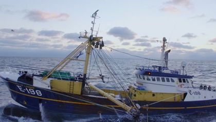 Honba za úlovkem (2)