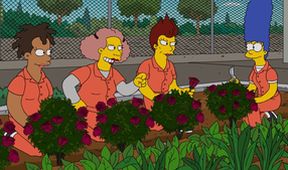 Simpsonovi XX (17/21)