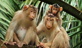 Savci, Zázračná planeta (5/6)