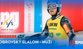 FIS Svetový pohár obrovský slalom muži IV