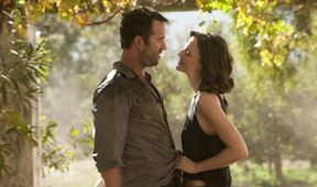 Protiúder IV (4/10)