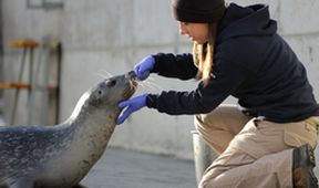 Veterináři z Arktidy (5)
