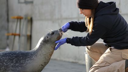 Veterináři z Arktidy (5)