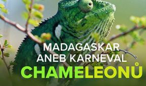 Madagaskar aneb Karneval chameleonů