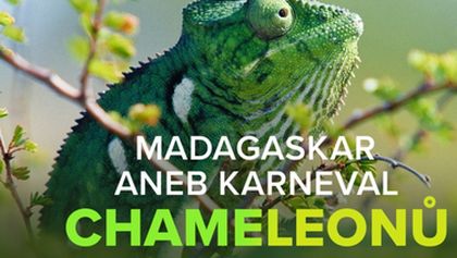 Madagaskar aneb Karneval chameleonů