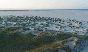 Fríské ostrovy