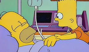 Simpsonovi XIV (5/22)