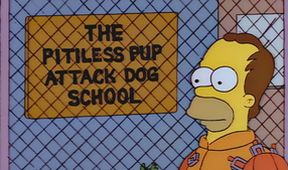 Simpsonovi VIII (6/25)