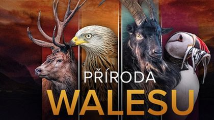Příroda Walesu (2/2)