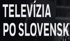 Televízia po slovensky