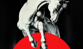 Zabití mongolského koně