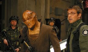 Hvězdná brána VII (18/22)