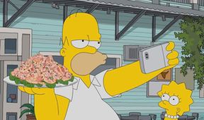 Simpsonovi XV (16/22)