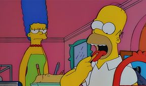 Simpsonovi XV (5/22)