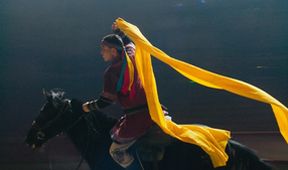 Zabití mongolského koně