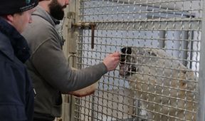Veterináři z Arktidy (5)