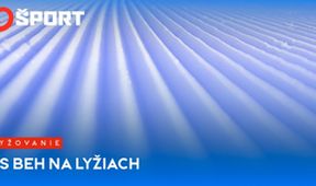 FIS Beh na lyžiach IV