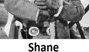 Shane