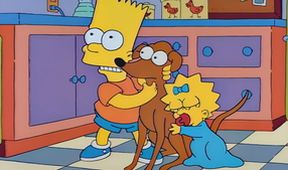 Simpsonovi XVIII (8/22)