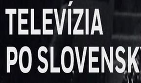 Televízia po slovensky