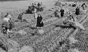 Železná opona, Den boje za svobodu a demokracii (2/3)