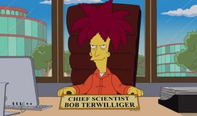 Simpsonovi XIV (20/22)